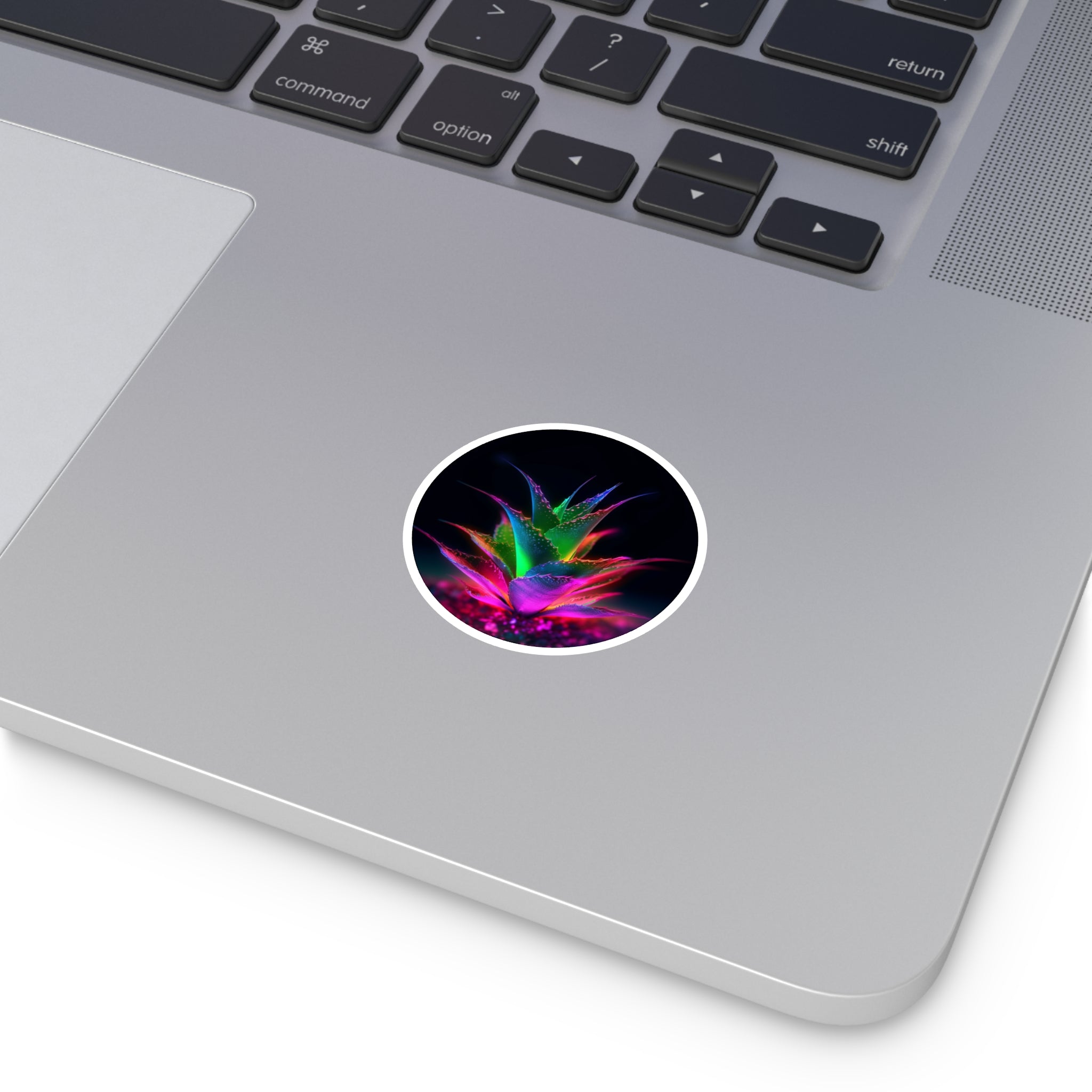 Rainbow Aloe Plant, Fantasy Nature Sticker, Laptop Decoration, Plant Lover Gift