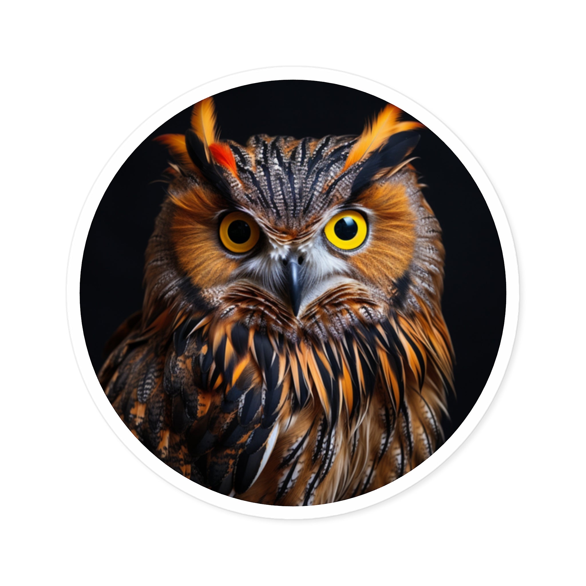 Owl Sticker, Bright Eyes Design, Realistic Wildlife Art, Nocturnal Nature Gift