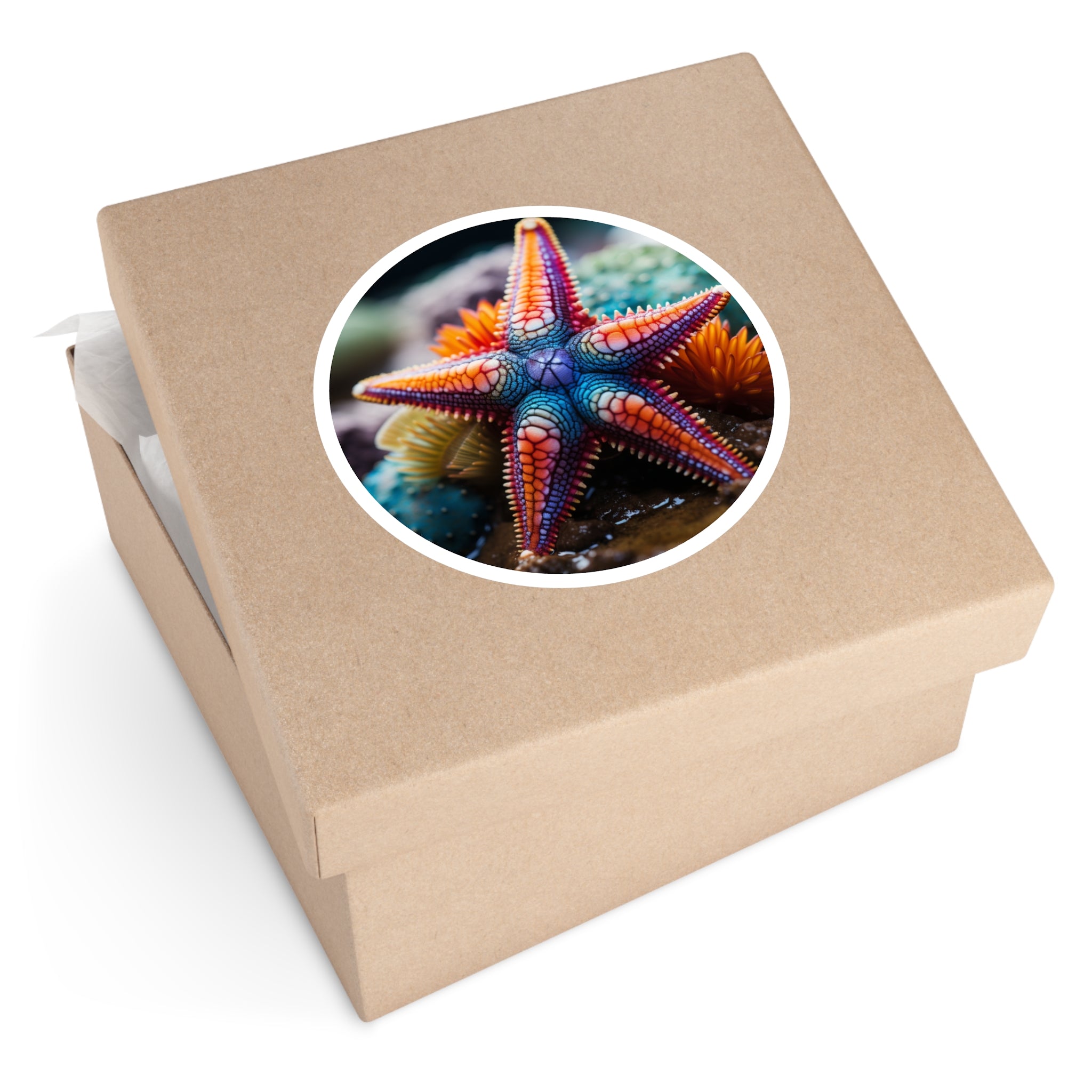 Colorful Starfish, Ocean Life Sticker, Laptop Decal, Beach Aesthetic Gift