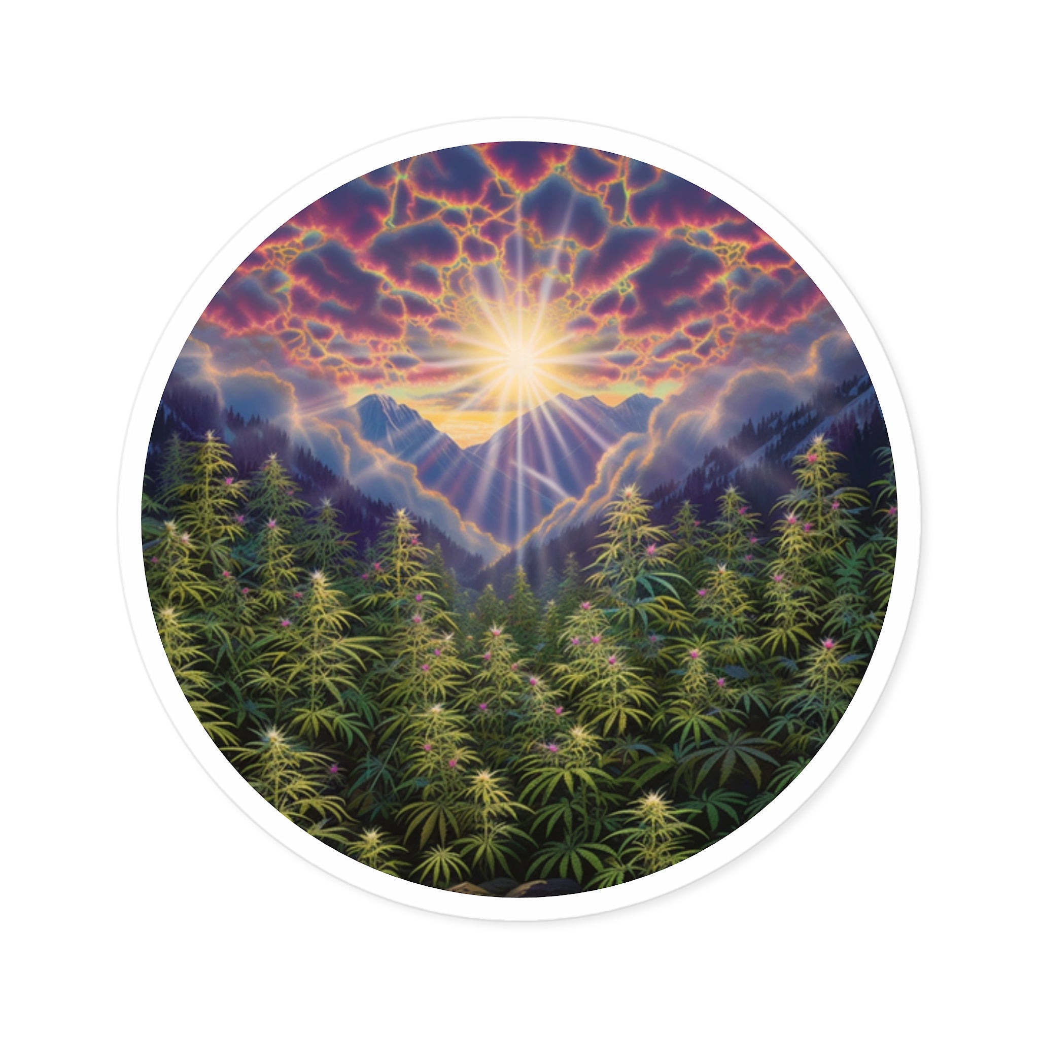 Cannabis Field at Sunrise, Nature Landscape Sticker, Outdoor Art, Bright Design