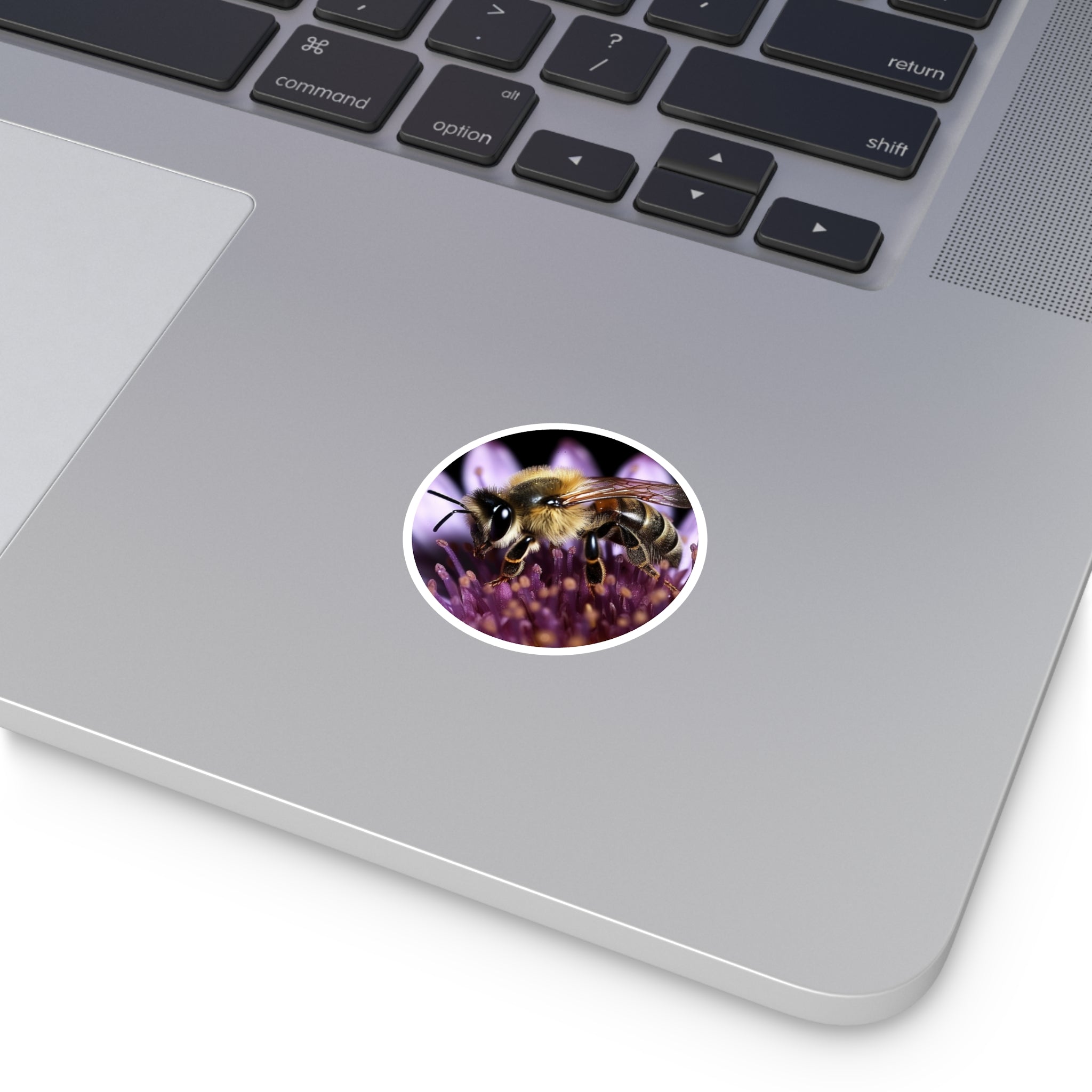 Honey Bee, Pollination Sticker, Laptop Decal, Nature Inspired Gift