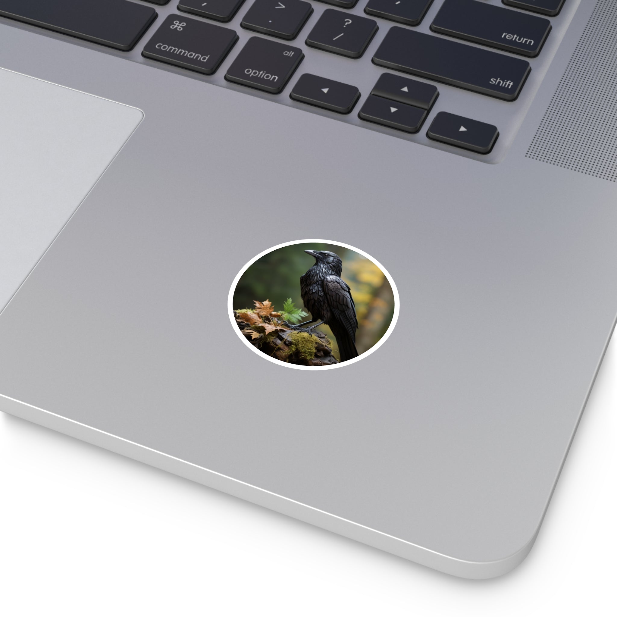 Raven Sticker, Realistic Black Bird Art, Forest Design, Mysterious Aesthetic