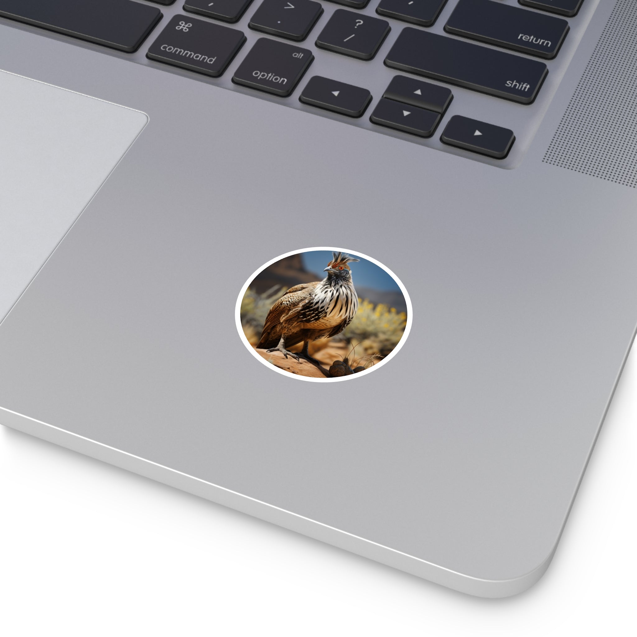 Greater Sage Grouse Sticker, Desert Wildlife Art, Realistic Bird Design, Nature Collector