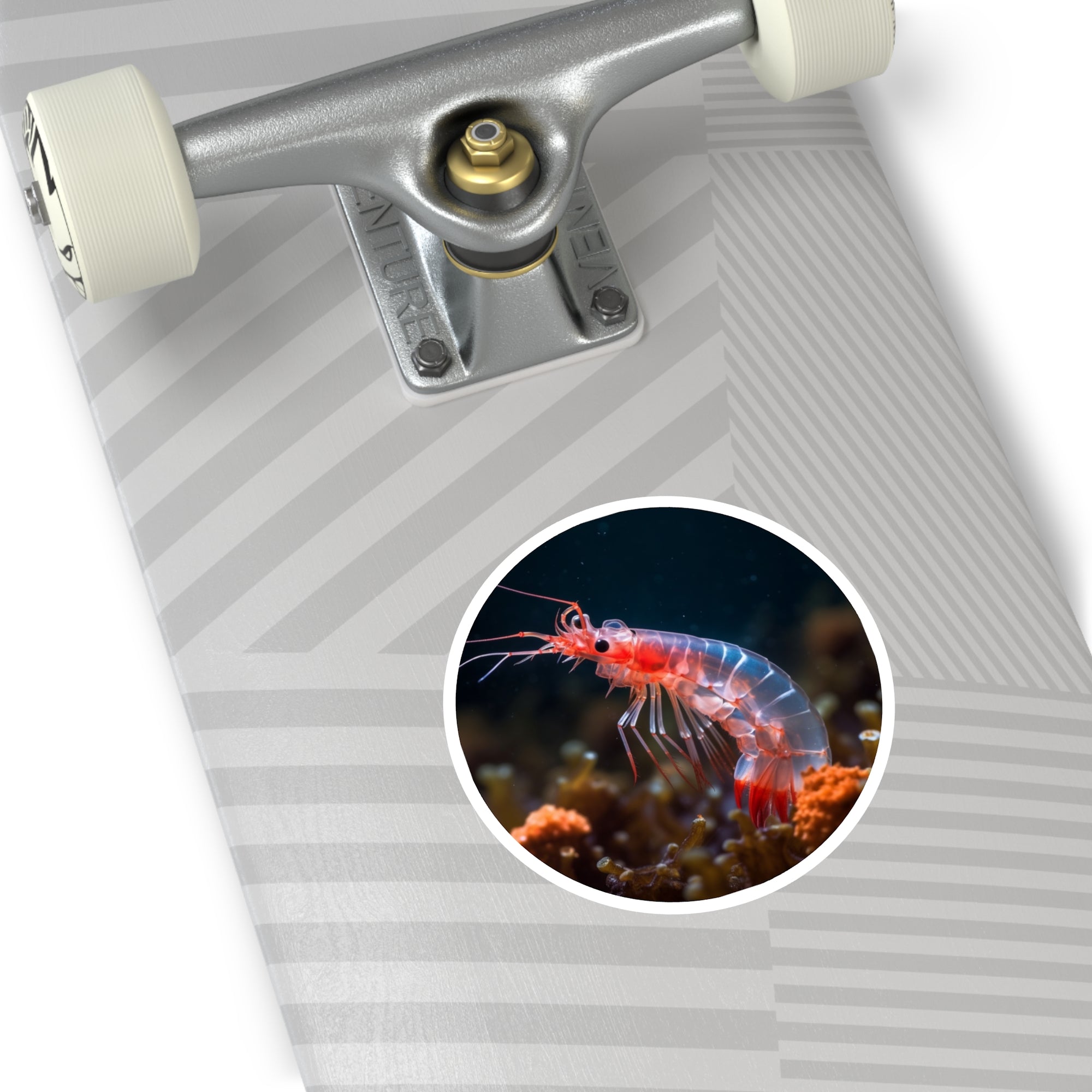 Beautiful Shrimp, Ocean Sticker, Laptop Decal, Gift for Sea Lovers