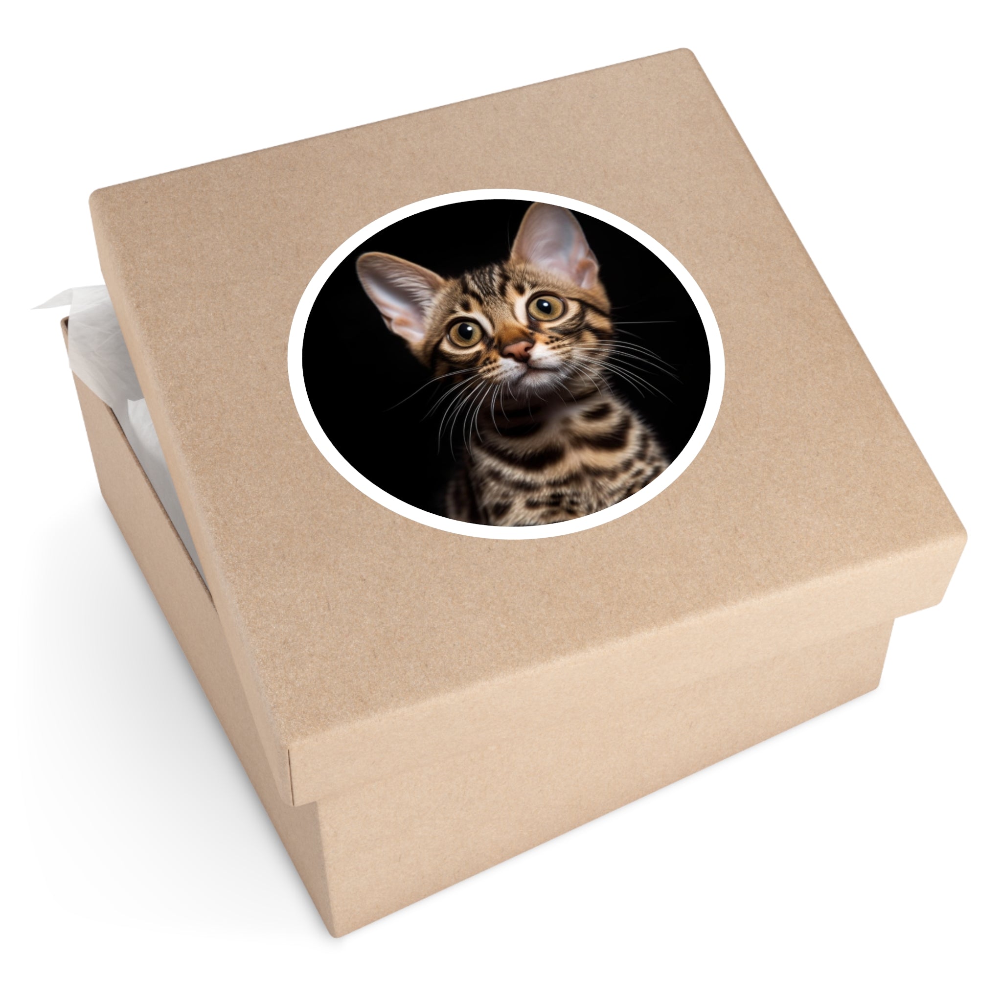 Exotic Cat, Realistic Pet Sticker, Calm Art, Minimal Design