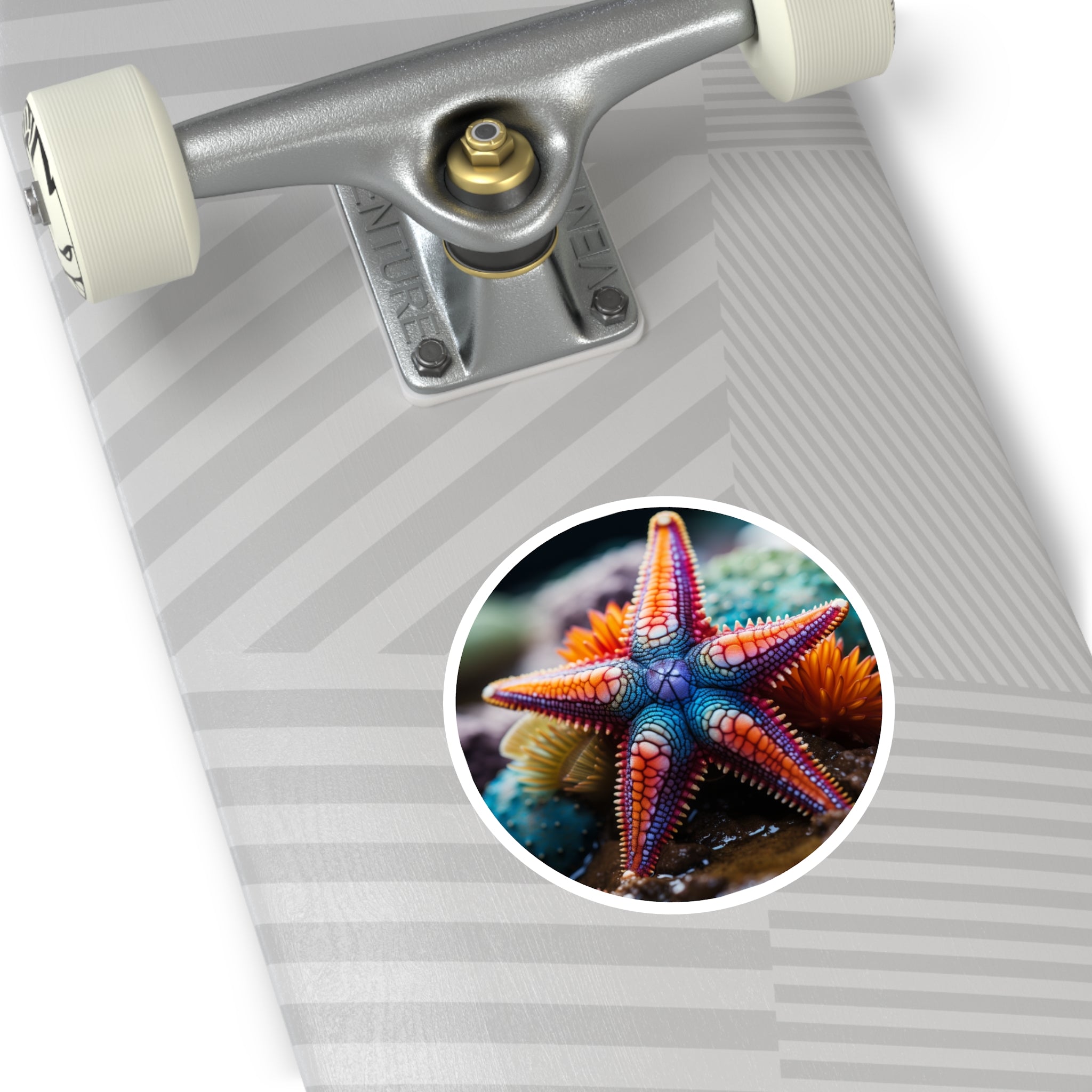 Colorful Starfish, Ocean Life Sticker, Laptop Decal, Beach Aesthetic Gift