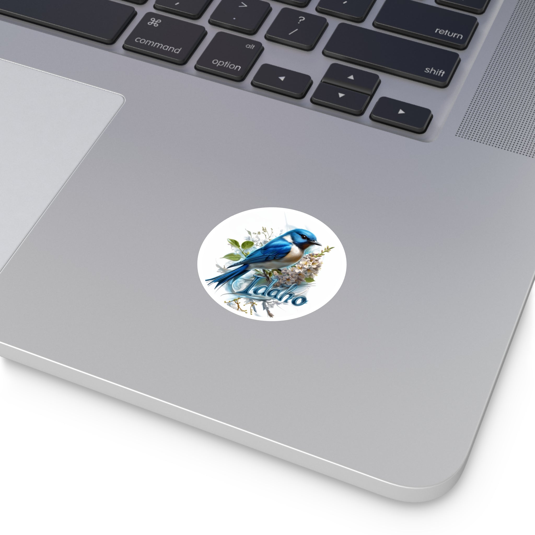Idaho Bluebird Sticker, State Bird and Flower Art, Syringa Design, Nature Scene