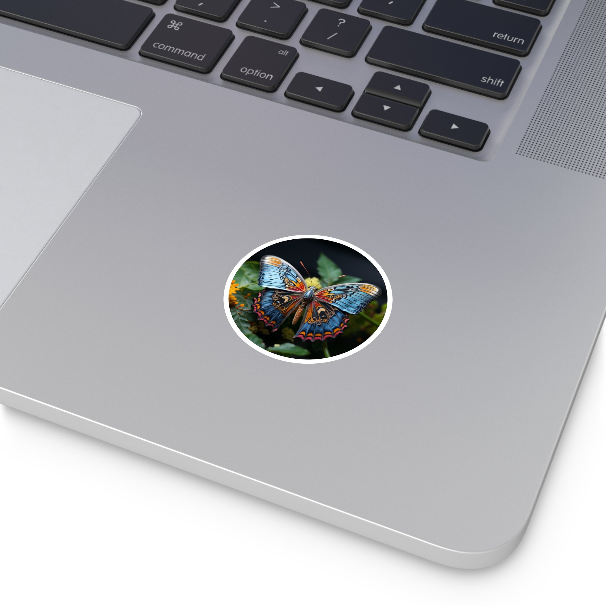 Blue Orange Moth, Detailed Art Sticker, Laptop Decal, Nature Lover Gift