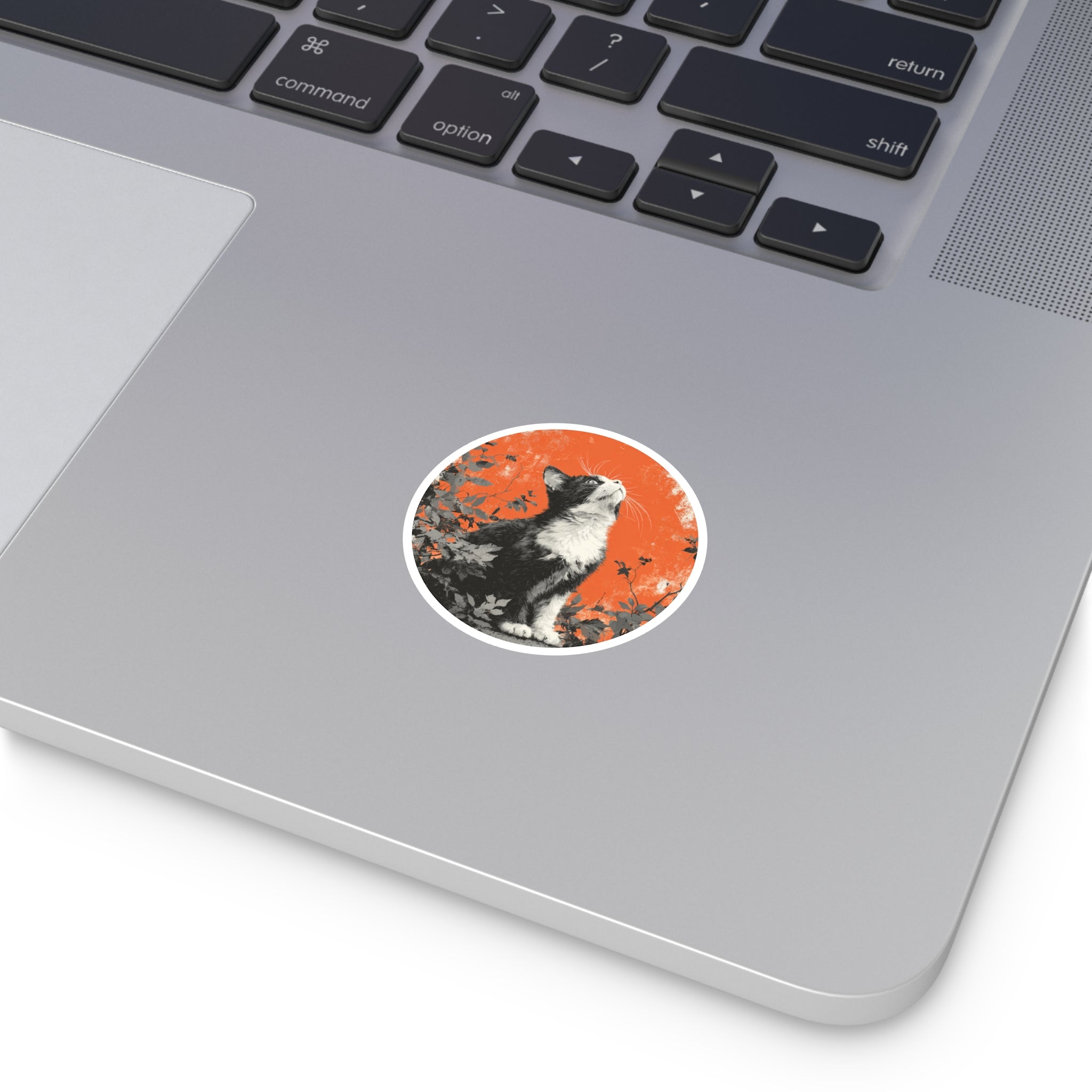 Curious Cat Sticker, Autumn Orange Accent, Cozy Fall Art