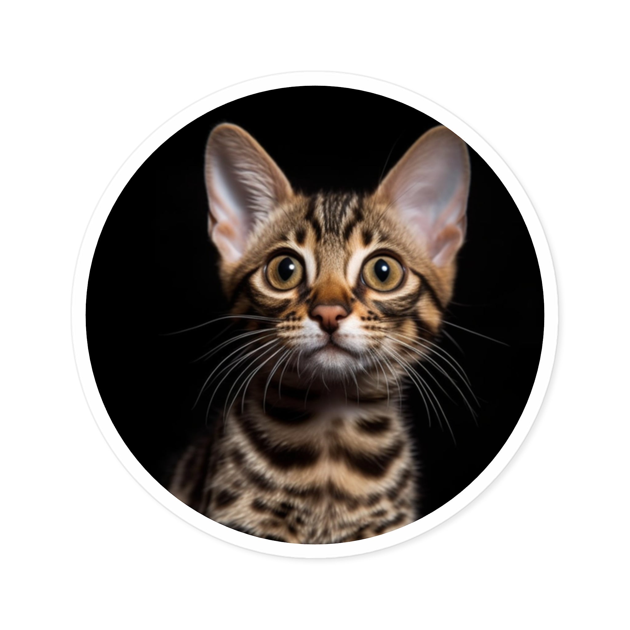 Exotic Cat, Realistic Pet Sticker, Calm Art, Minimal Design