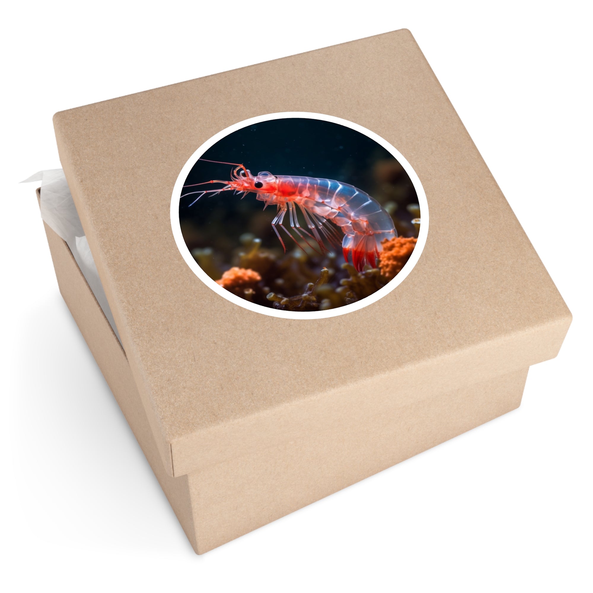 Beautiful Shrimp, Ocean Sticker, Laptop Decal, Gift for Sea Lovers