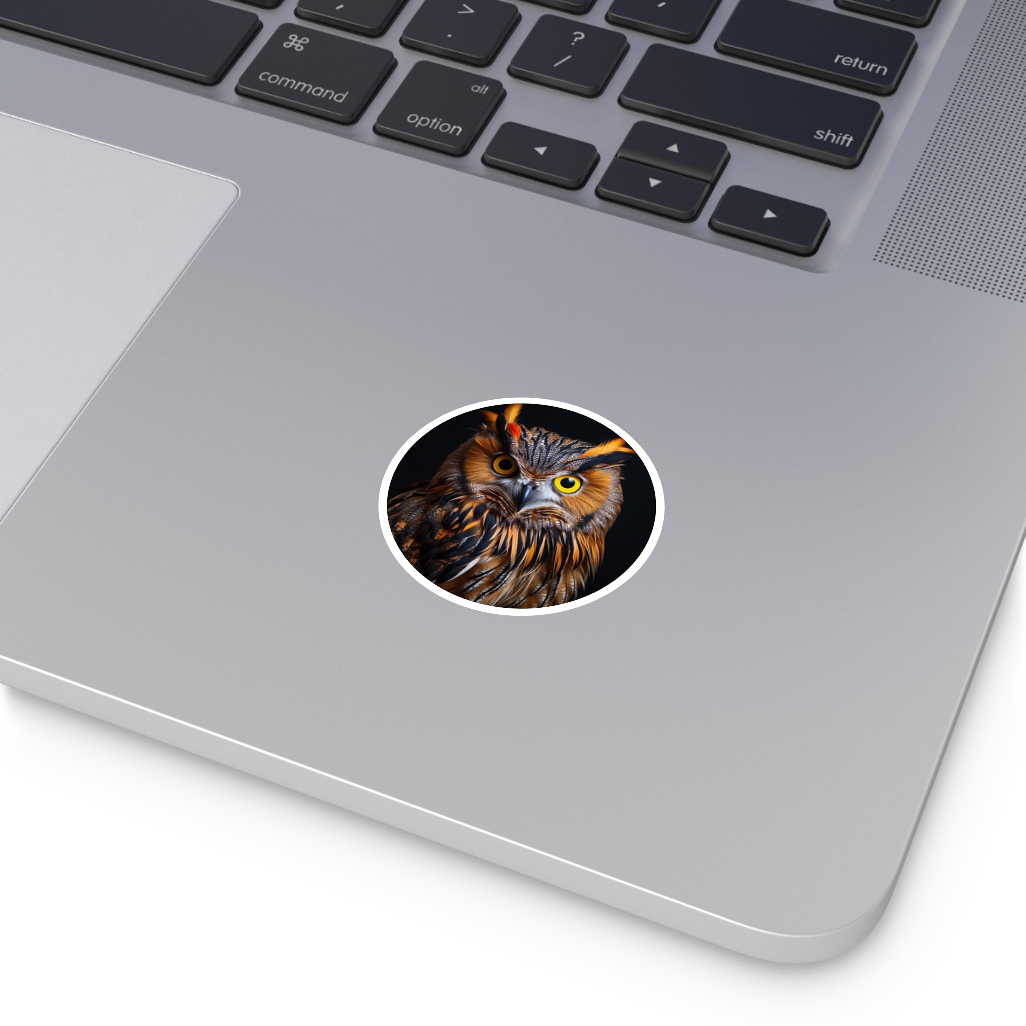 Owl Sticker, Bright Eyes Design, Realistic Wildlife Art, Nocturnal Nature Gift