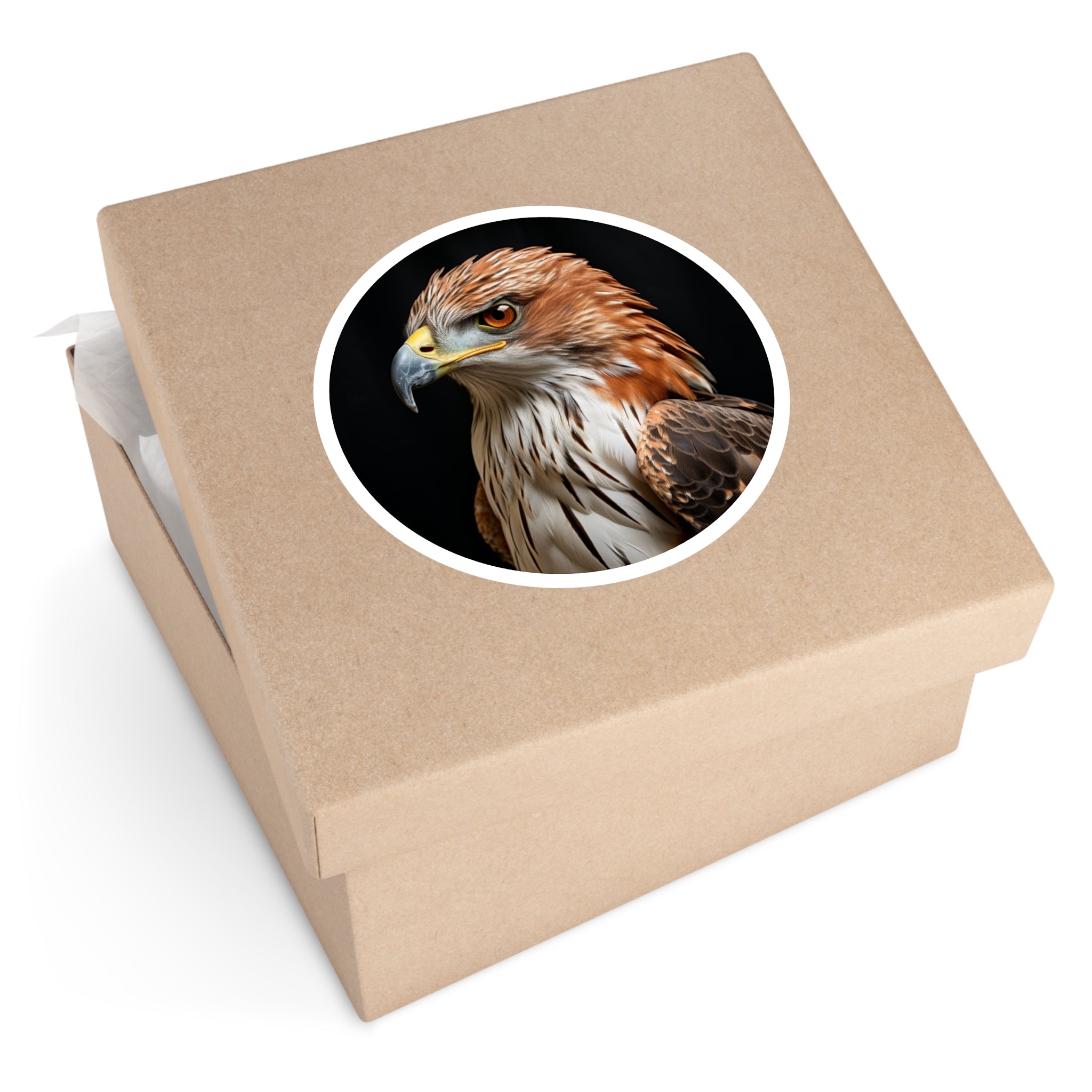 Hawk Sticker, Fierce Realistic Art, Wildlife Design, Collector’s Nature Gift