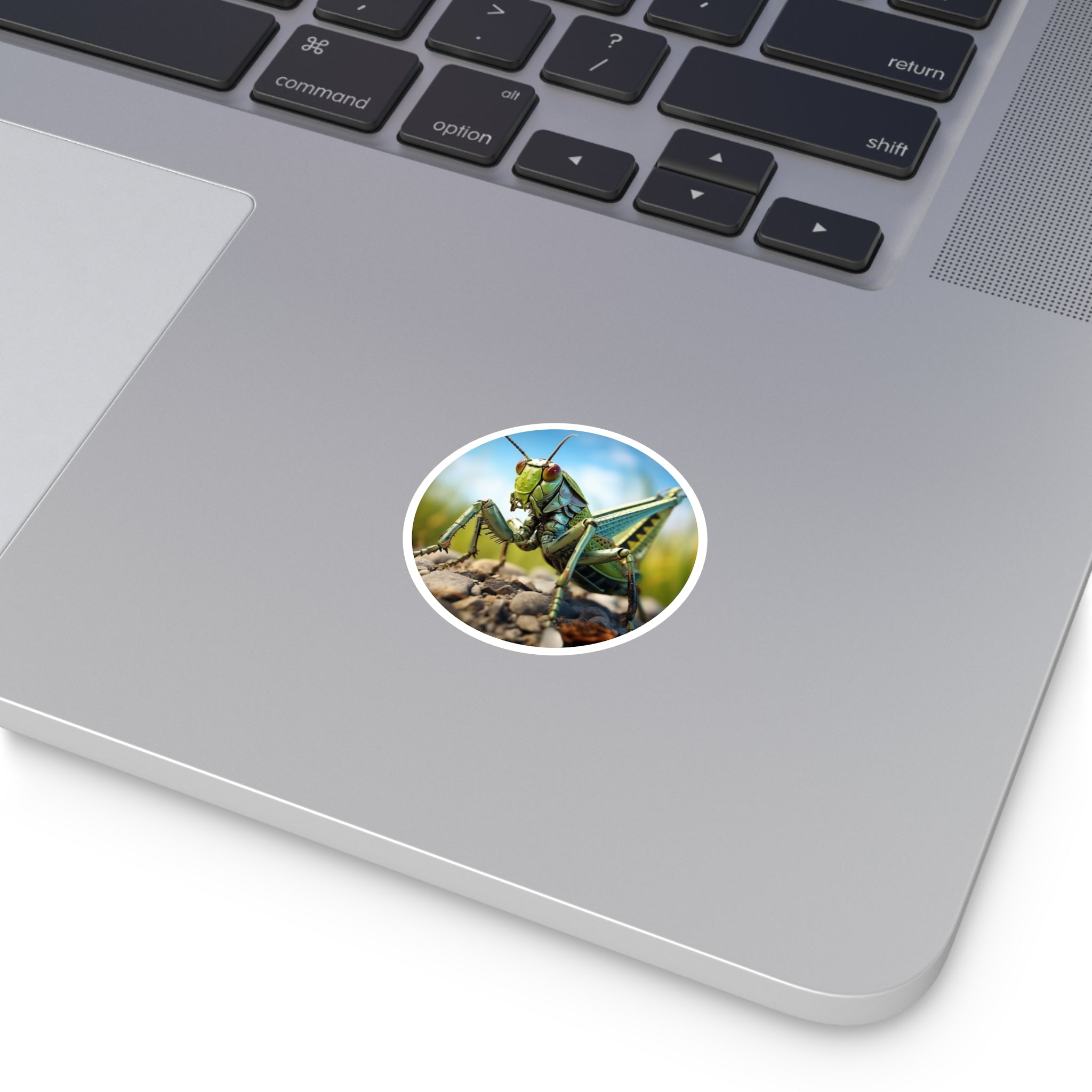 Grasshopper Close-Up, Nature Sticker, Notebook Decor, Outdoor Gift