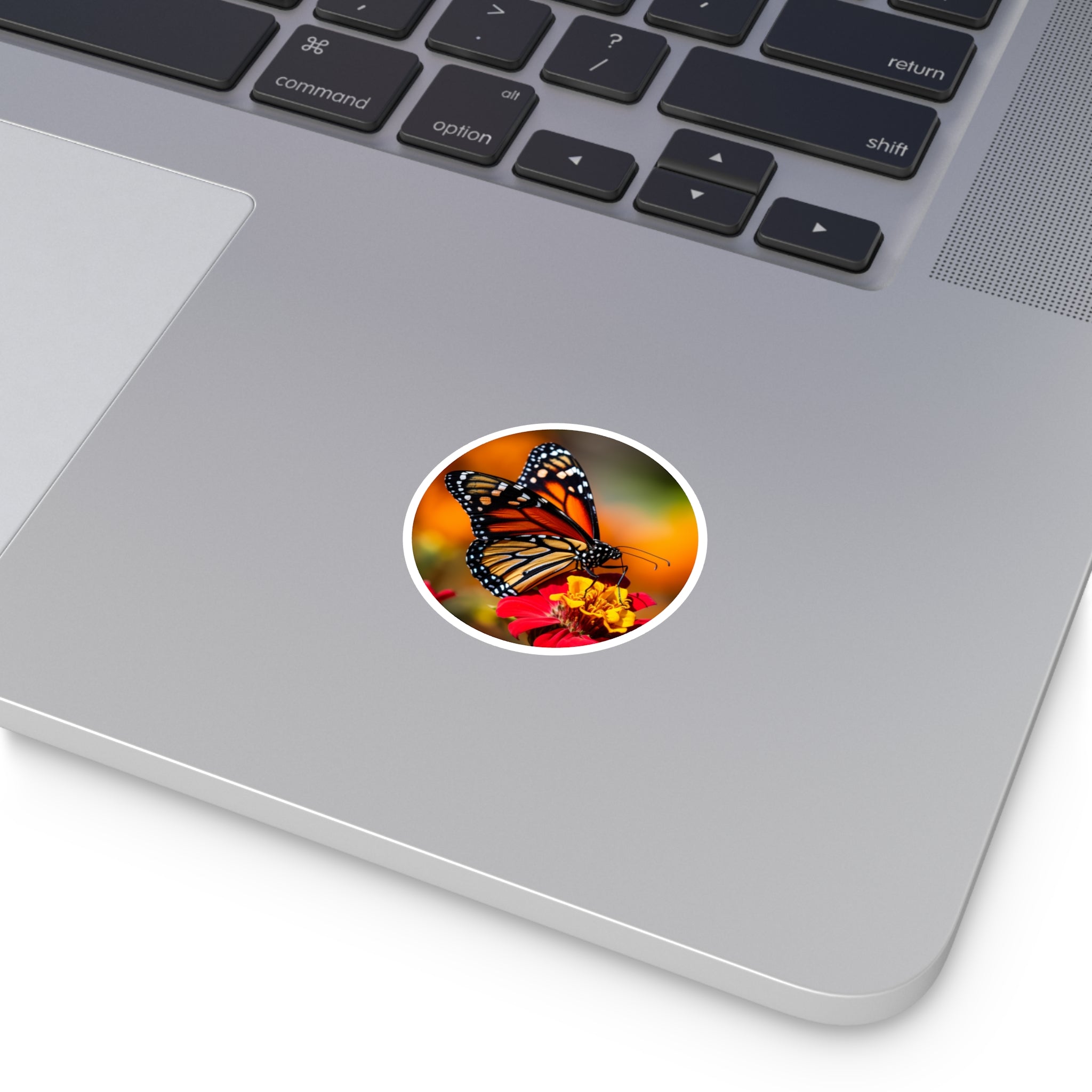 Monarch on Flower, Realistic Sticker, Laptop Decal, Nature Inspired Gift