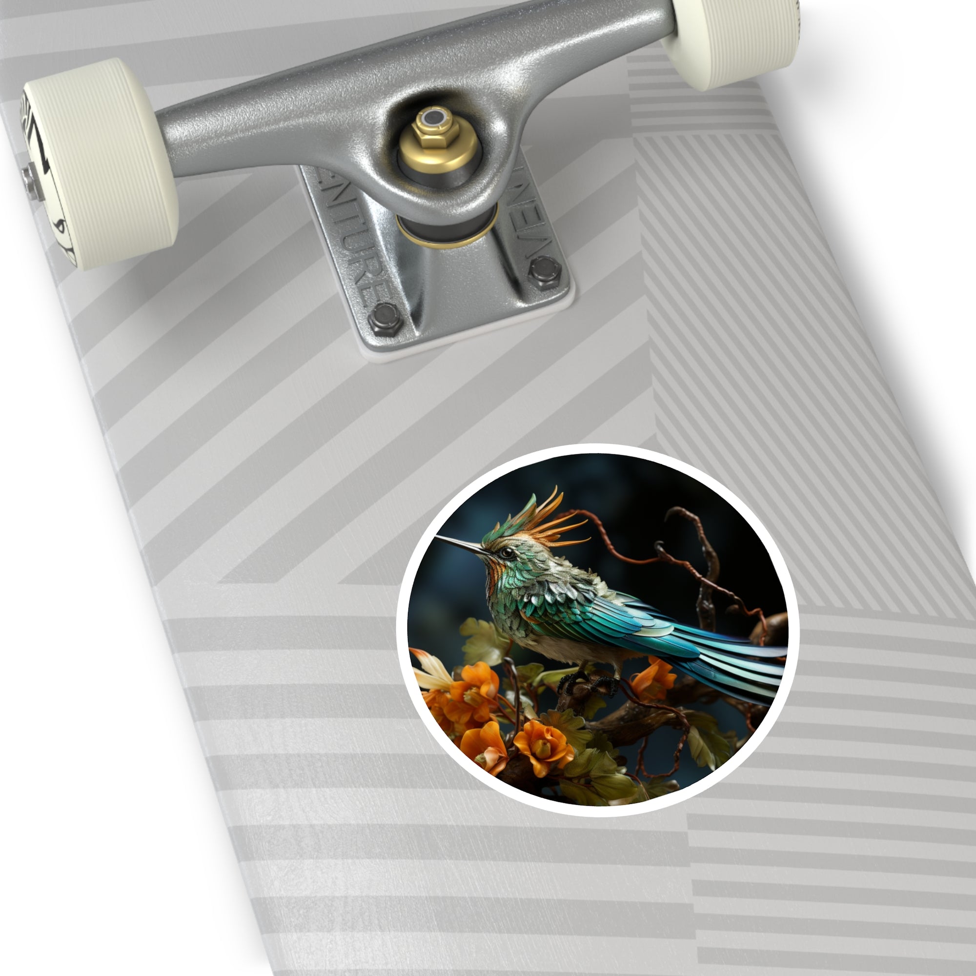 spatuletail bird sticker, detailed nature art, laptop decor, wildlife lover gift