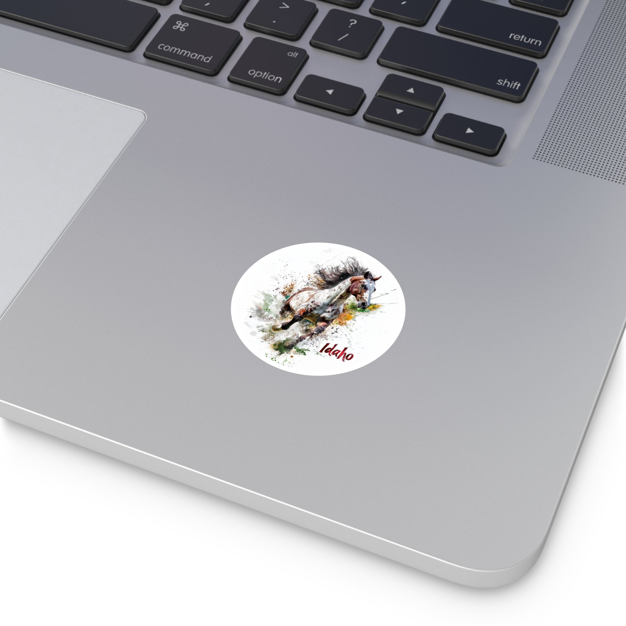 Idaho Appaloosa, Running Horse Sticker, Laptop or Water Bottle, State Pride Design