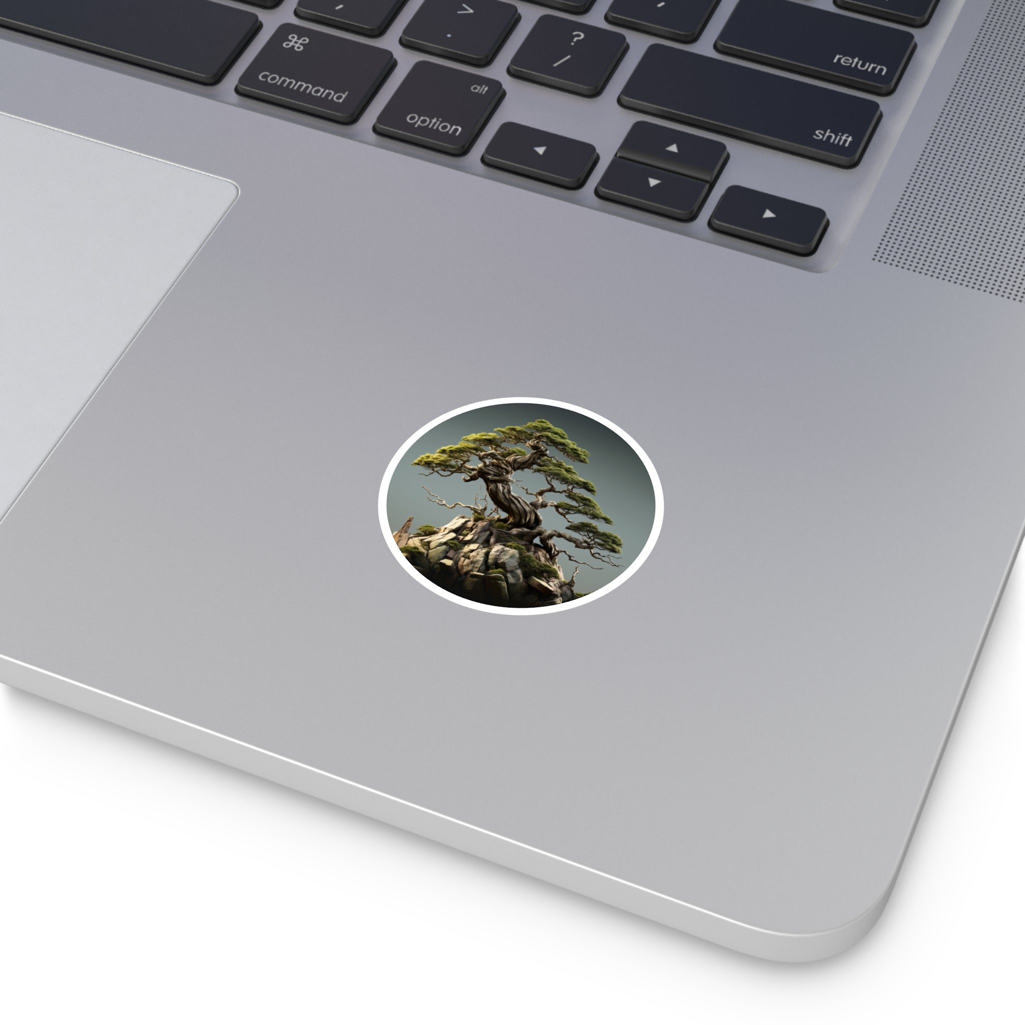 Bonsai Tree, Zen Nature Sticker, Minimalist Art, Meditation Decor