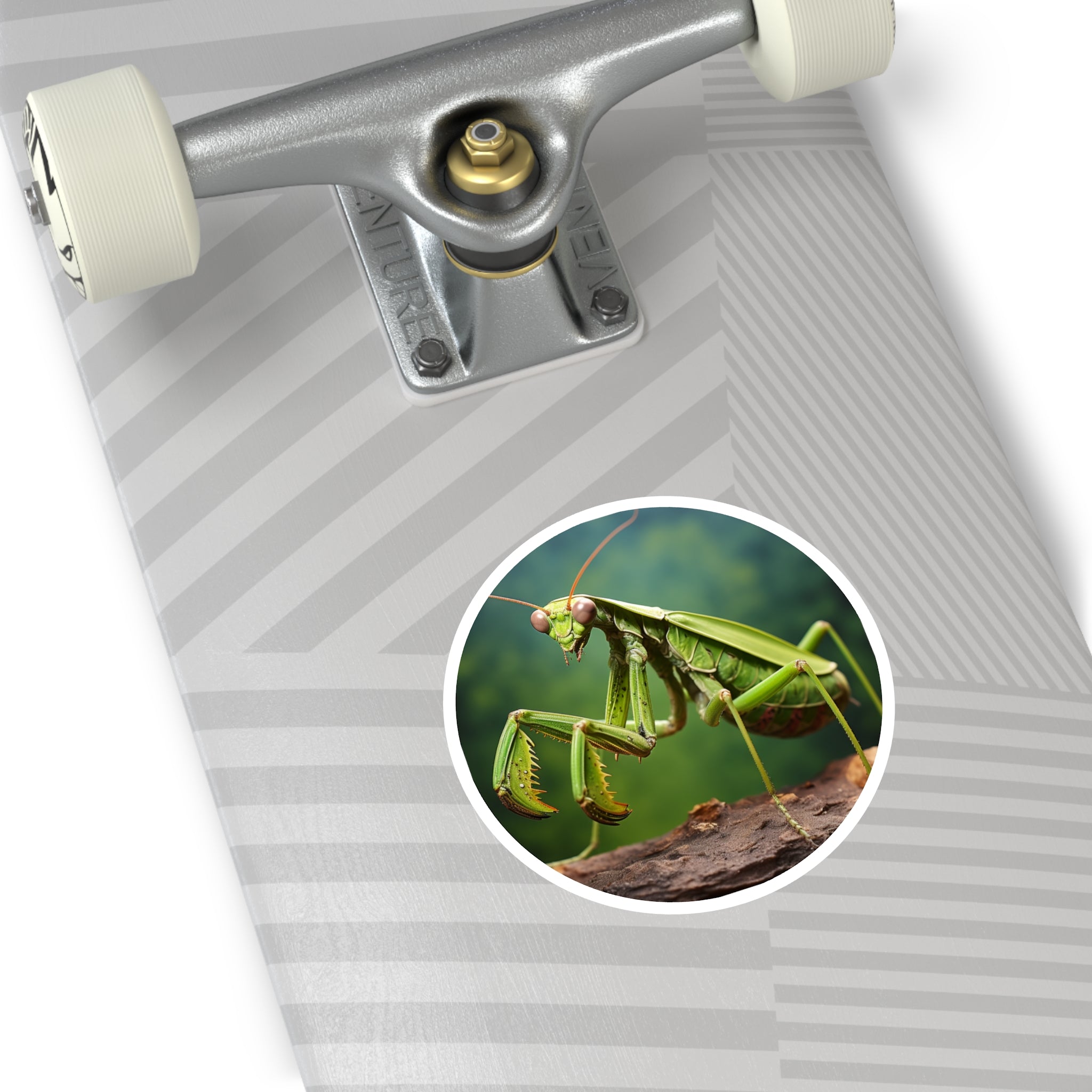 Praying Mantis Sticker, Insect Art, Nature Close-Up Design