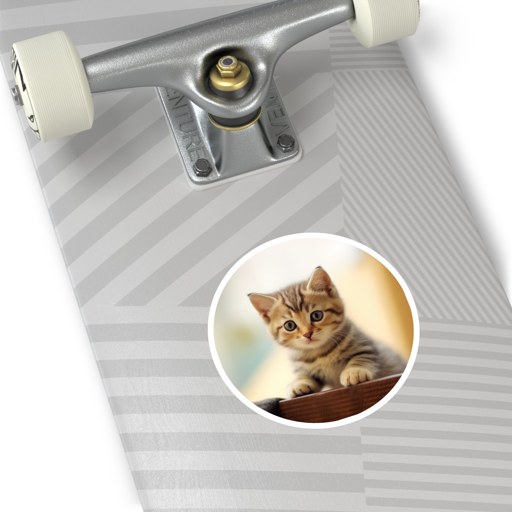 Exotic Kitten, Cute Pet Sticker, Soft Art, Adorable Design