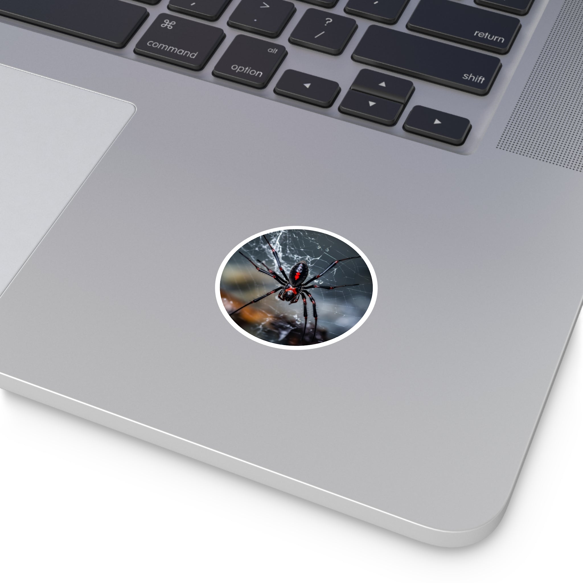 Black Widow Spider, Realistic Sticker, Laptop Decal, Halloween Art Gift