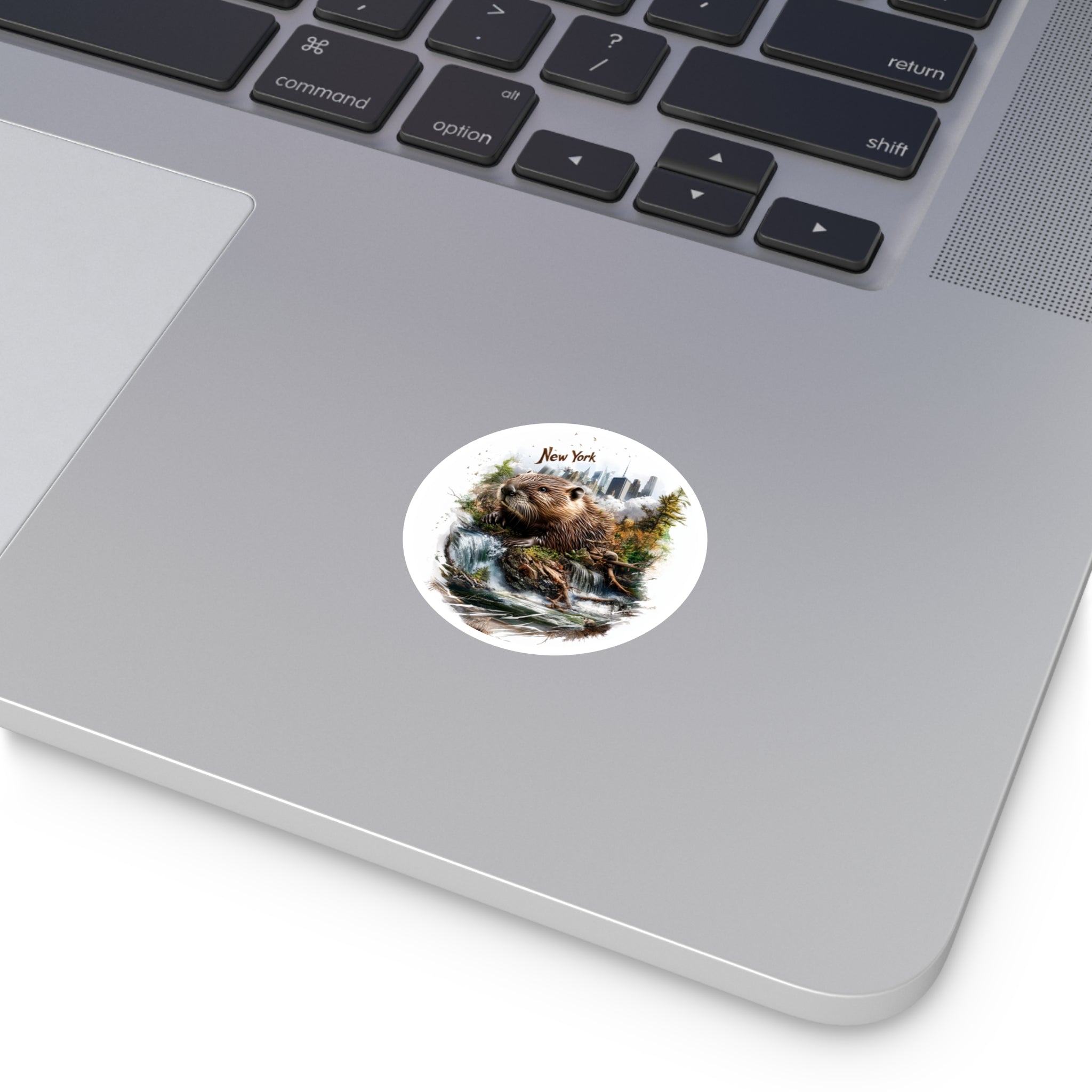 New York Beaver Falls, Nature and City Sticker, Laptop or Water Bottle, State Art