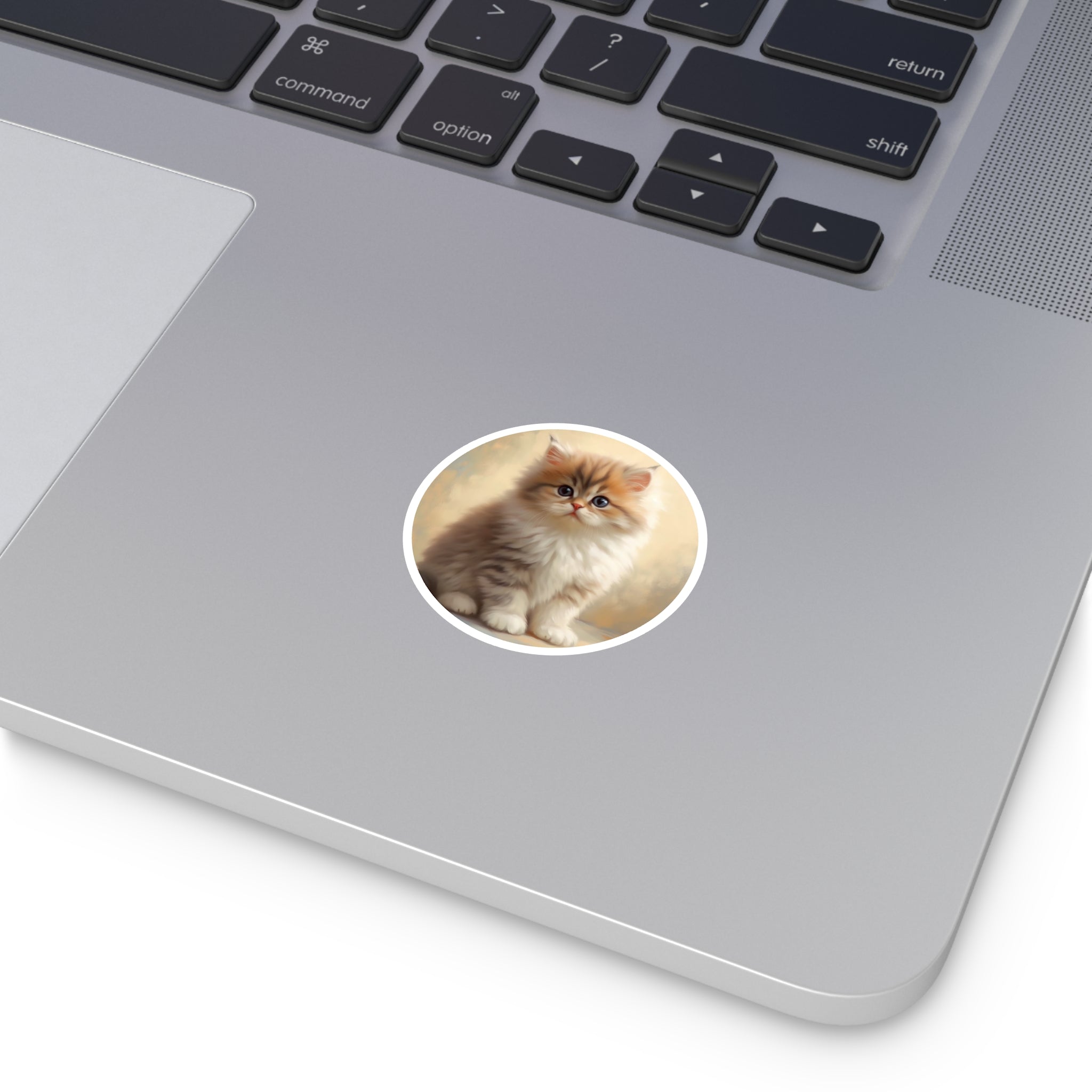 Persian Kitten Portrait, Photorealistic Sticker, Cat Lovers, Soft Aesthetic