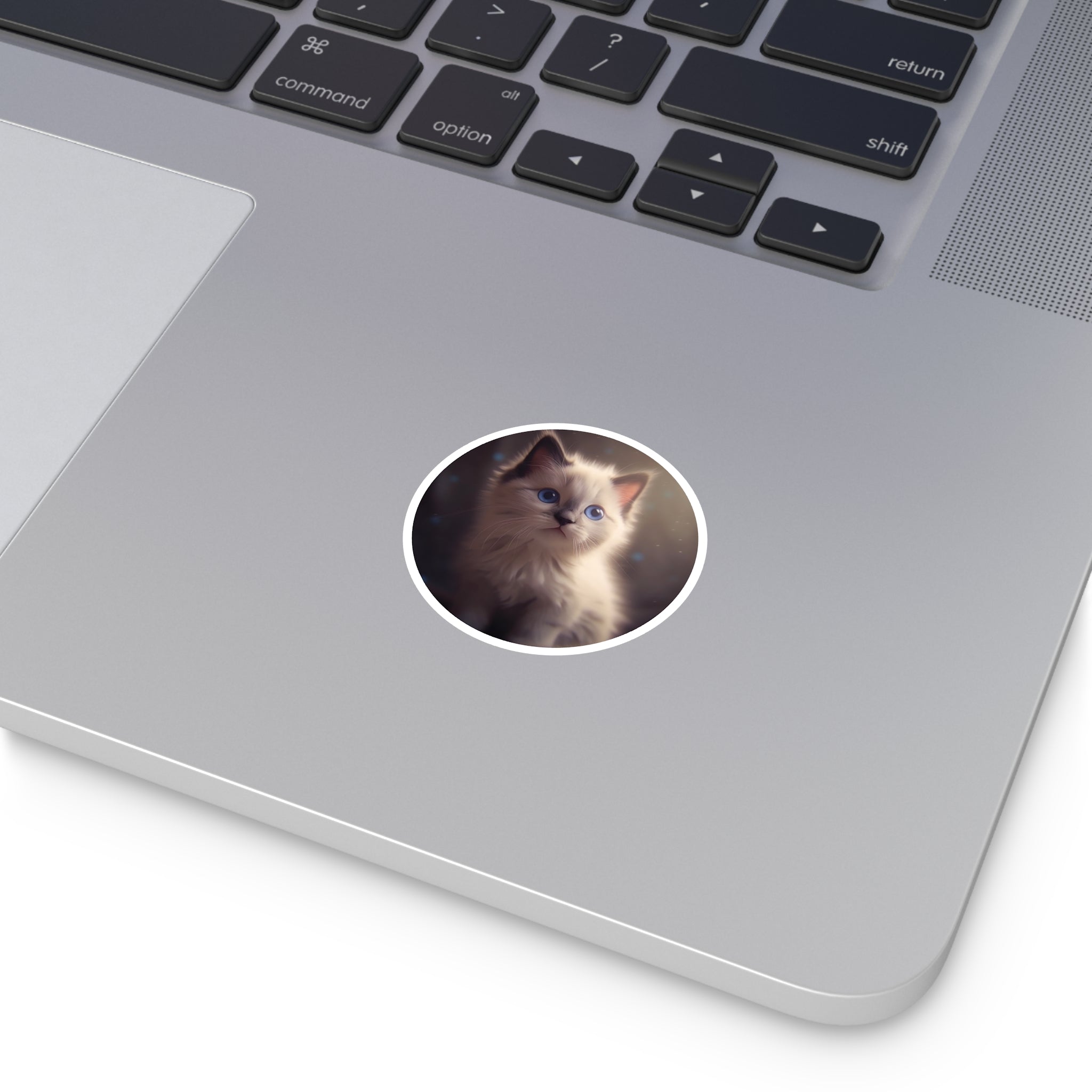 Ragdoll Kitten Blue Eyes, Gentle Portrait Sticker, Cat Lovers, Cozy Vibe