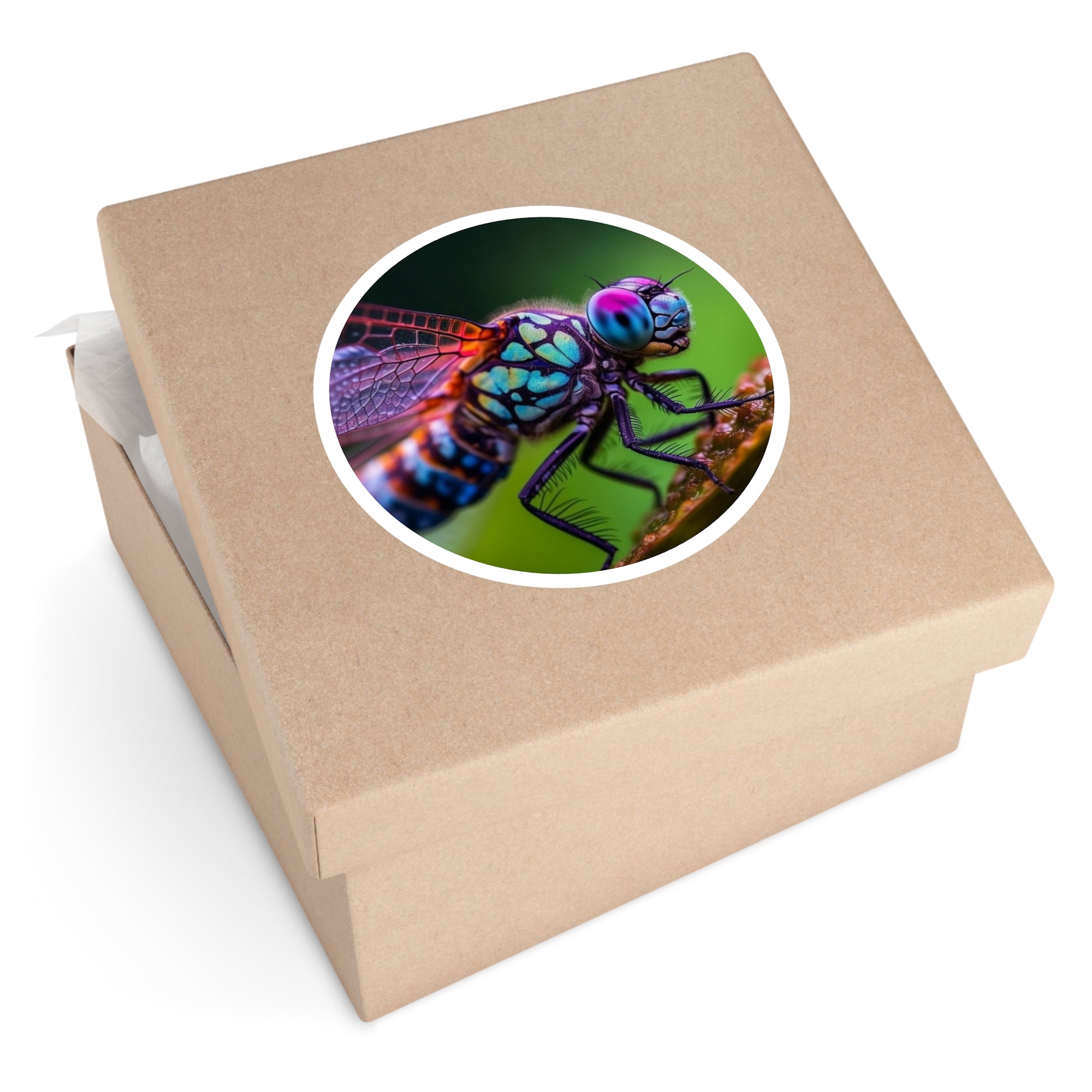 Colorful Dragonfly, Detailed Insect Sticker, Nature Art, Vibrant Design