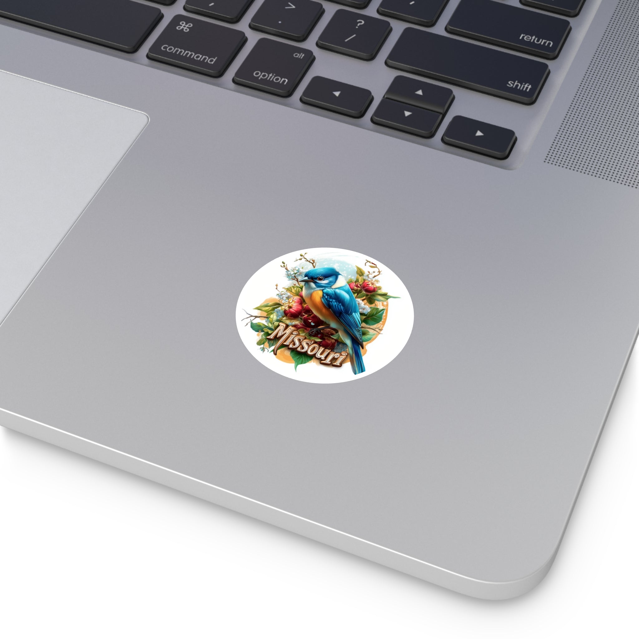 Missouri Bluebird, Floral State Sticker, Nature Art, Springtime Design