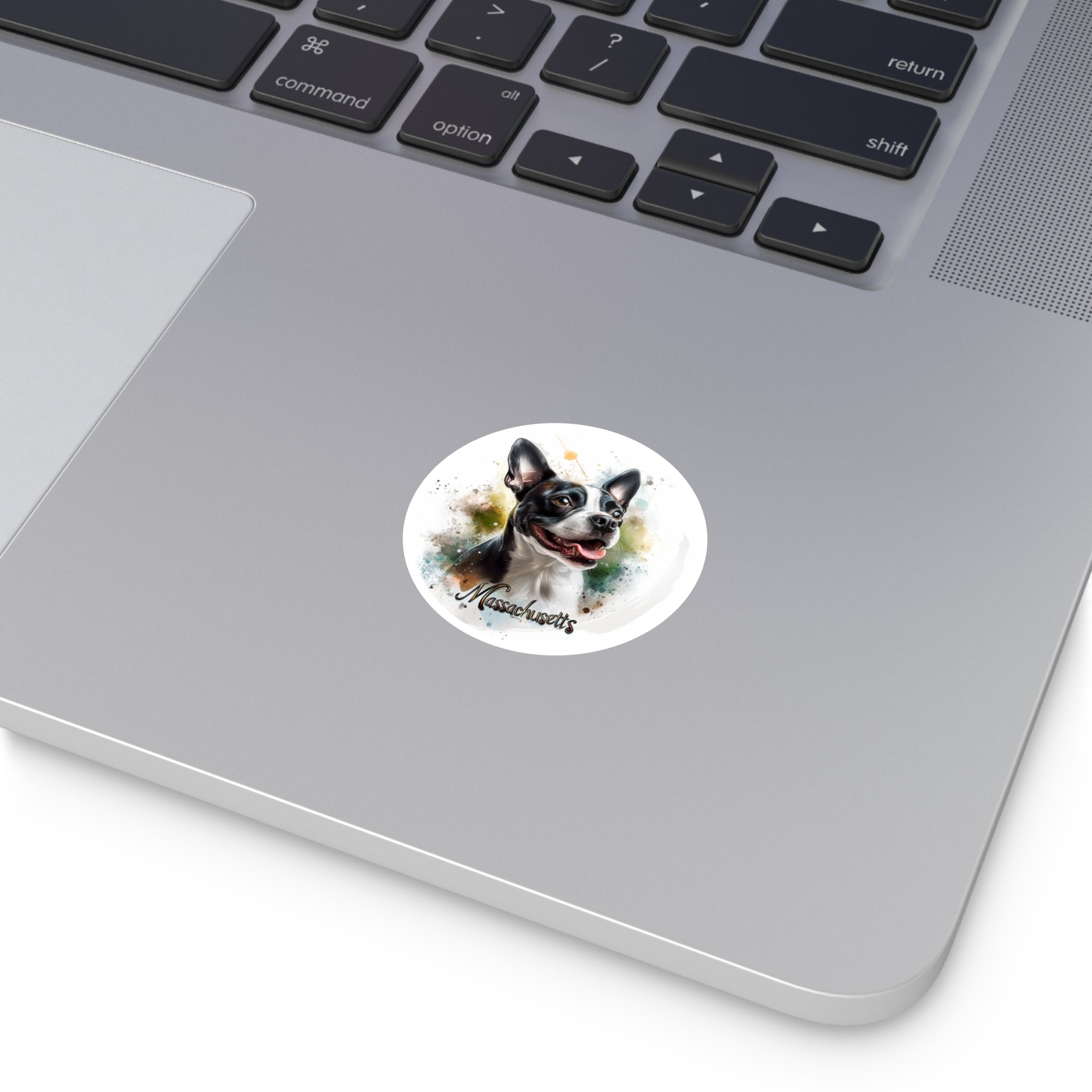 Massachusetts Boston Terrier, State Dog Sticker, Pet Art, Playful Design