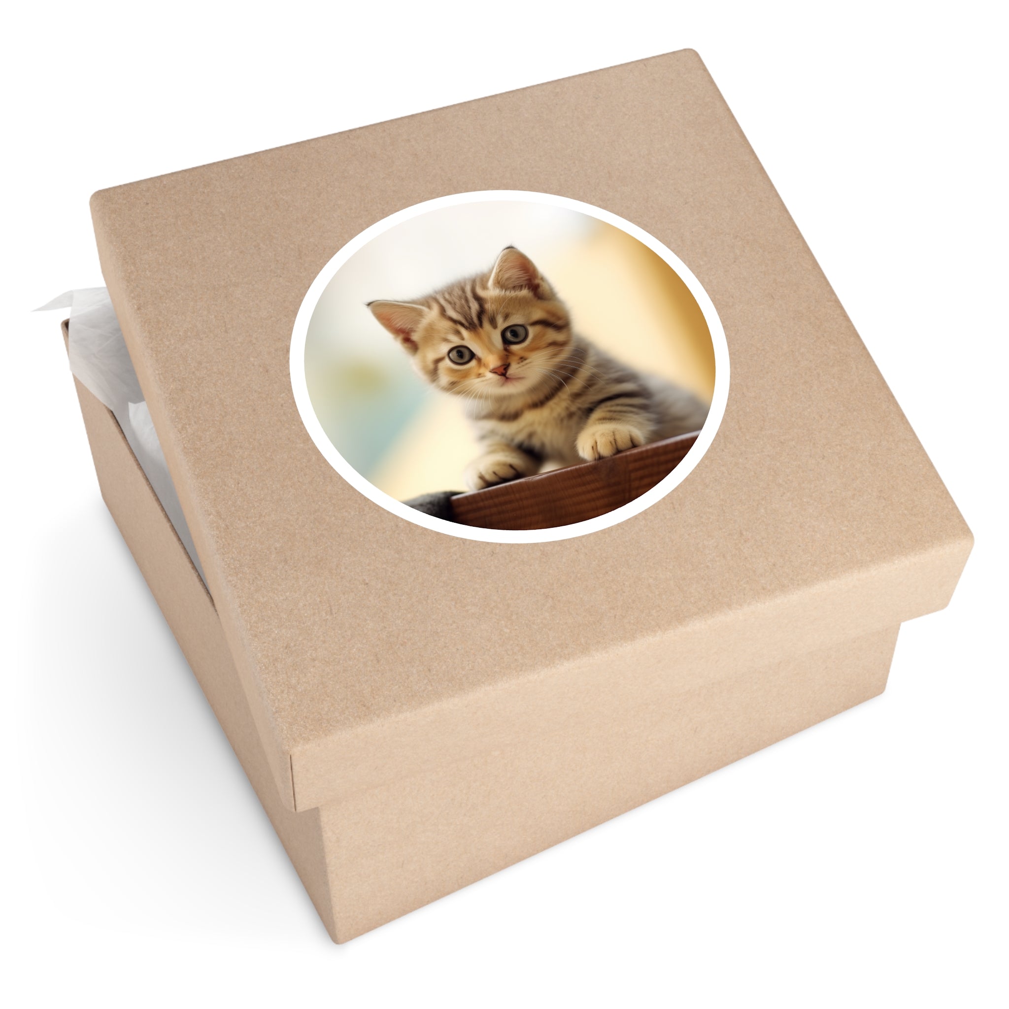 Exotic Kitten, Cute Pet Sticker, Soft Art, Adorable Design