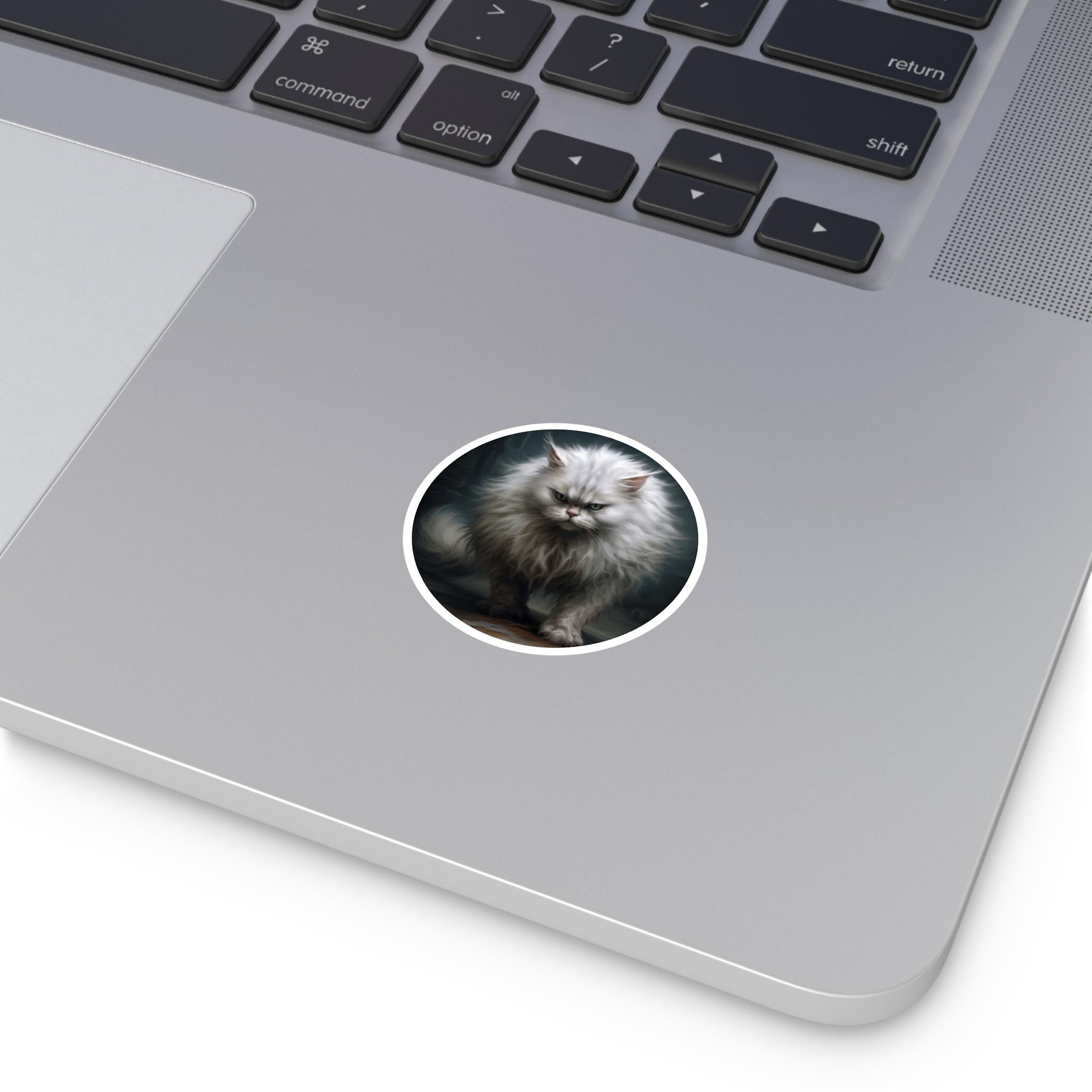 Angry Fluffy Cat, Realistic Feline Sticker, Funny Animal Design, Pet Humor