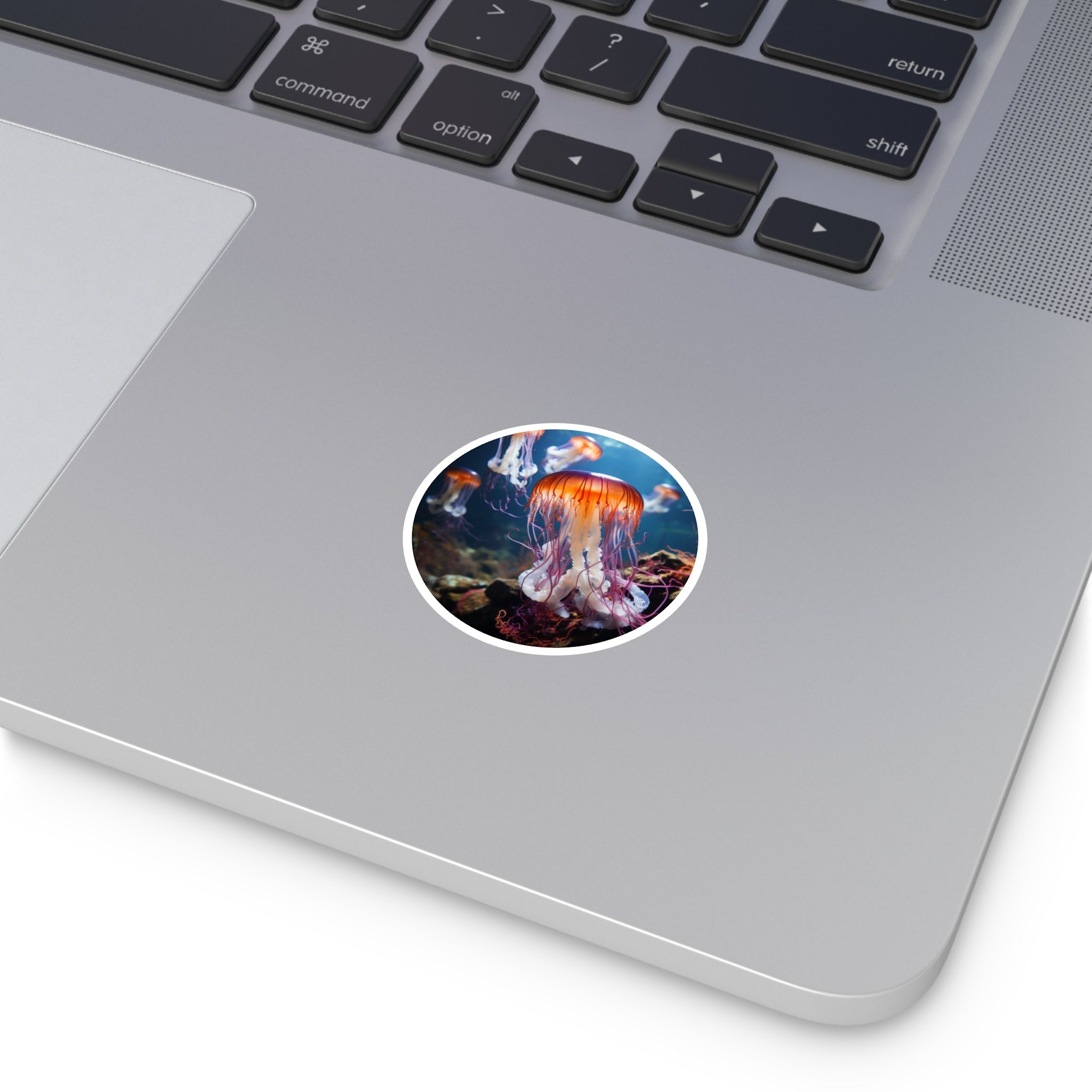 Ocean Jellyfish, Underwater Sticker, Sea Life Art, Marine Decor